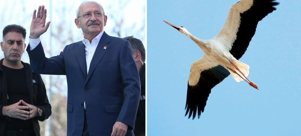 Kılıçdaroğlu umudunu leyleğe bağladı!