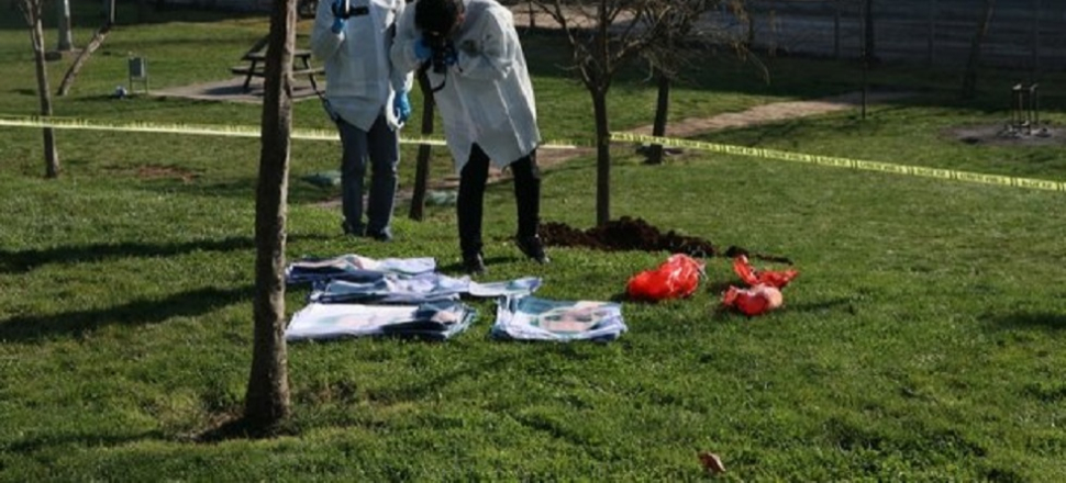 HDP'nin Nevruz etkinliğinde yine rezalet!