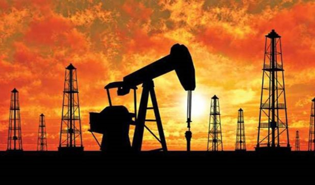 Petrolden ekonomiye 700 milyon dolar katkı!