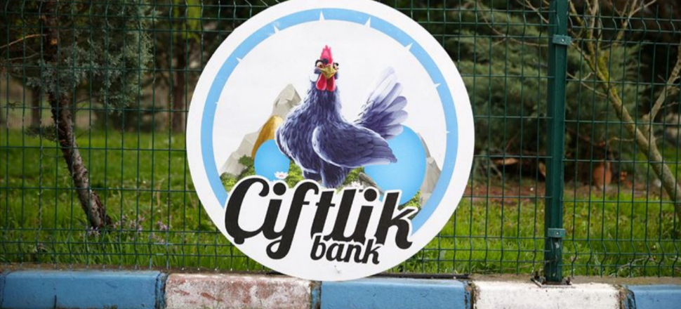 Çiftlik Bank davasında 9 kişi tahliye edildi!