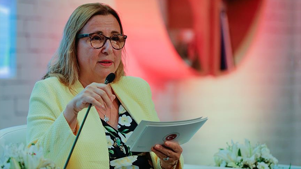 'Dış finansman ihtiyacını azalttık'