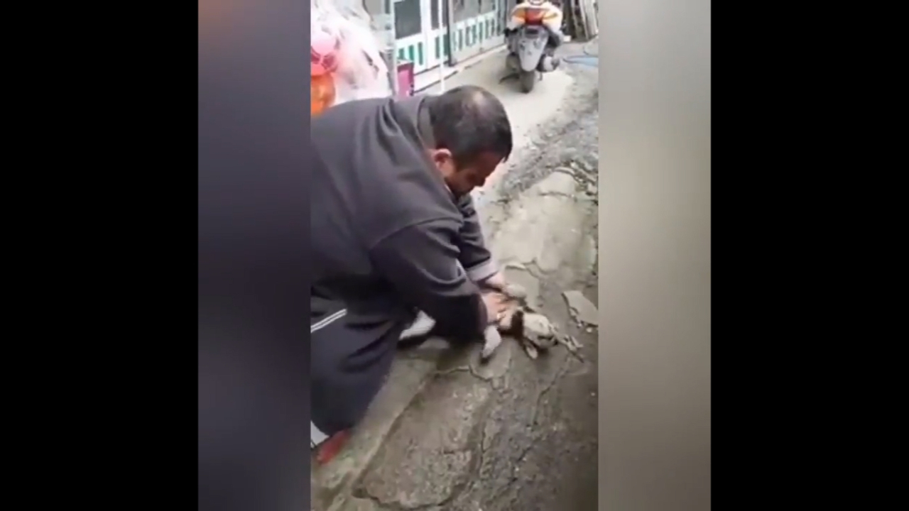 Yavru köpeği böyle hayata döndürdü...