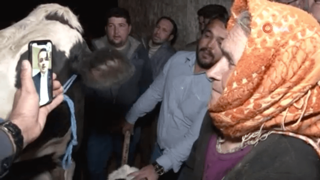 O nine için Bakanlık harekete geçti!