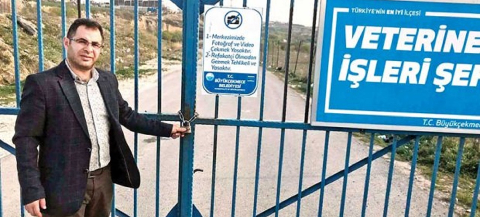 Büyükçekmece'de köpek barınağından seçmenler çıktı