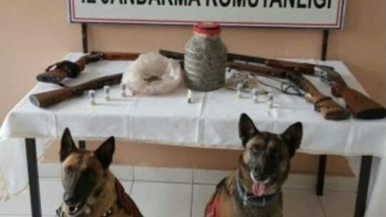 Yozgat Jandarma’dan esrar baskını: 4 gözaltı