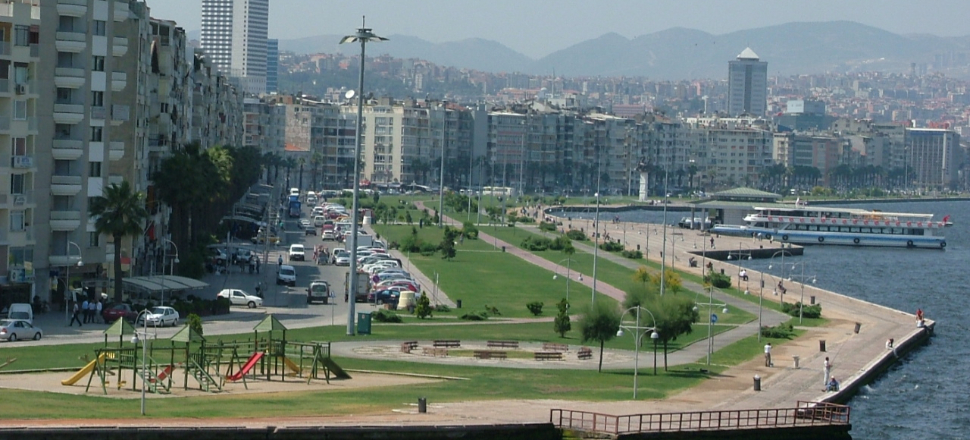 İzmir'in dağlarında altın çiçekler açmış…
