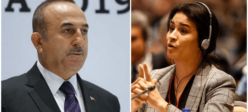 Fransız parlamenter Sonia Krimi yine rezil oldu!
