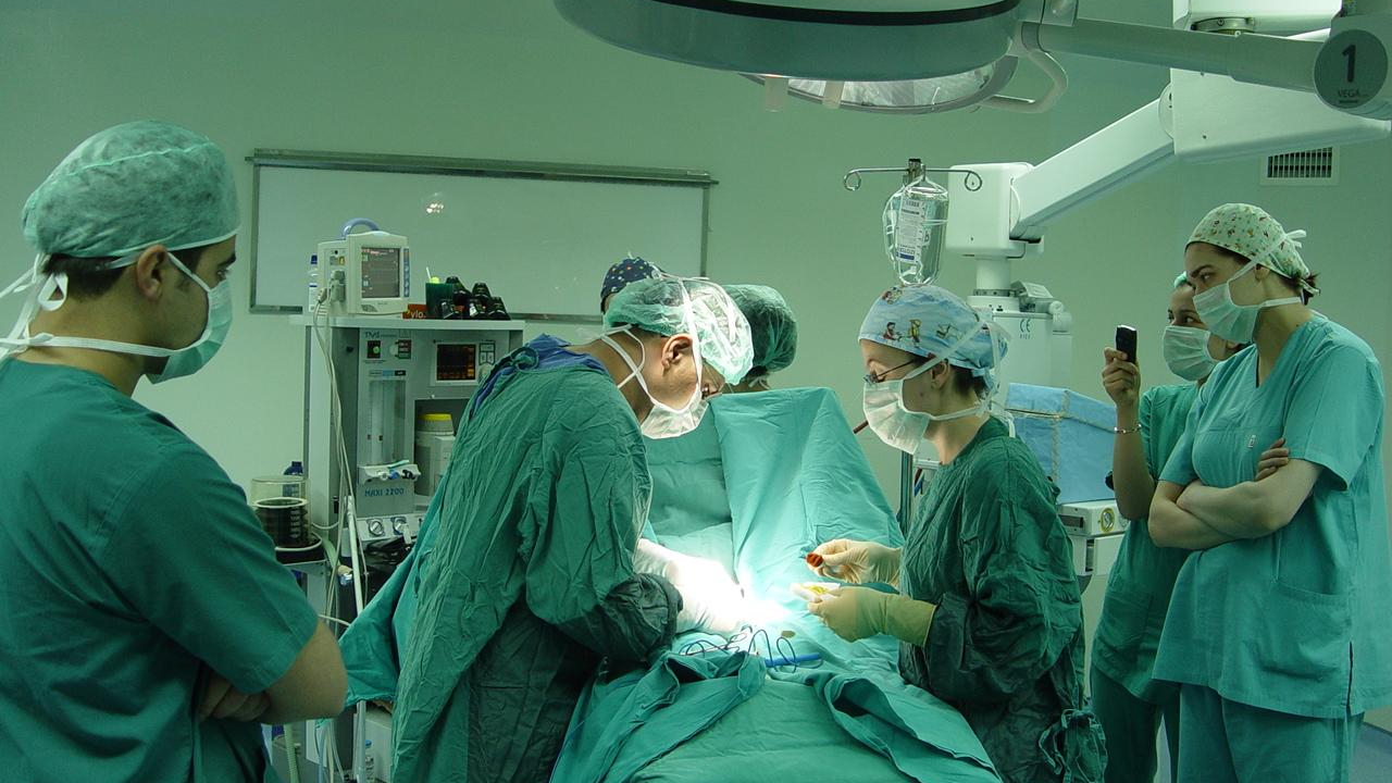 Kaçak testis nakli sayısı giderek artıyor!