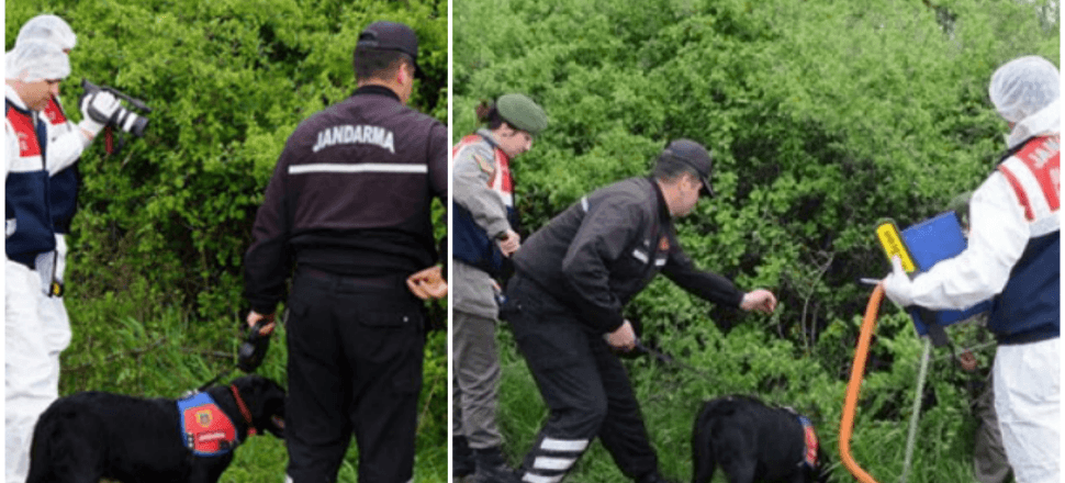 5'i çocuk 9 kişiyi katletmişlerdi!