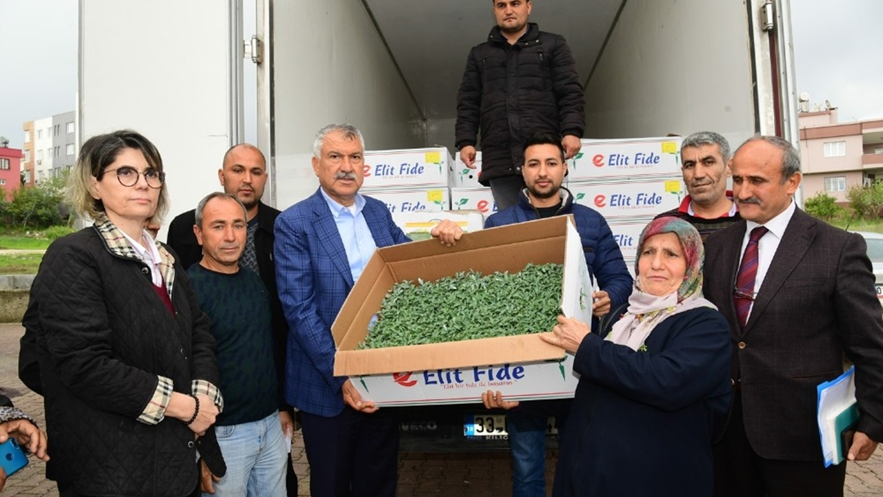Adana'da Başkan Zeydan Karalar’dan köylüye domates fidesi desteği