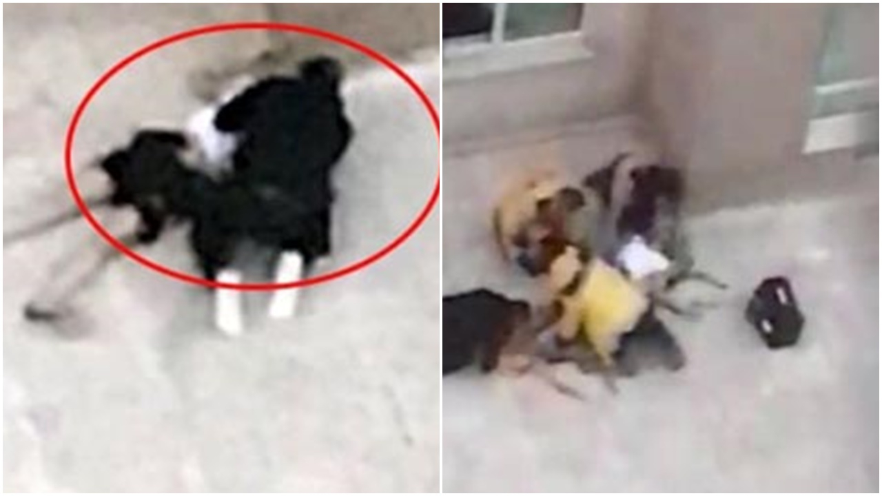 Yatak odasında üstünü değiştirirken...