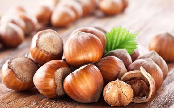 Türkiye fındığına saldırıya Nutella’nın üreticisi Ferrero karşı çıktı