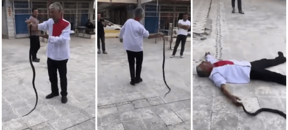 Yılanlı protesto hastanede bitti!