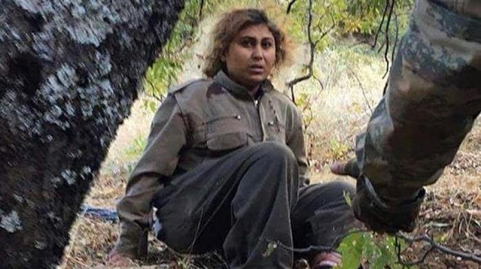 Tunceli'deki operasyonda PKK'ya bir darbe daha