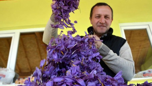 Safran altınla yarışıyor: Kilosu 45 bin lira