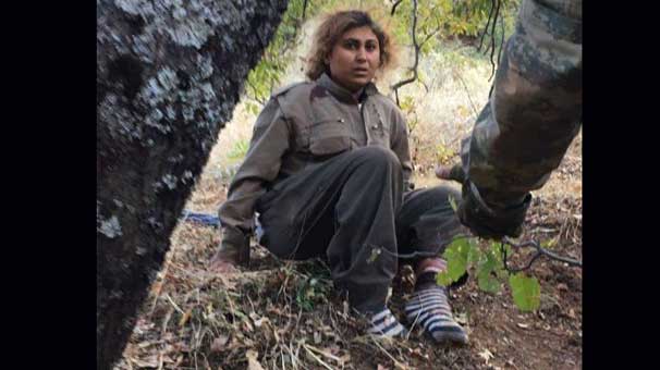 Hayatta kalan tek PKK'lıya uzanan devletin eli!
