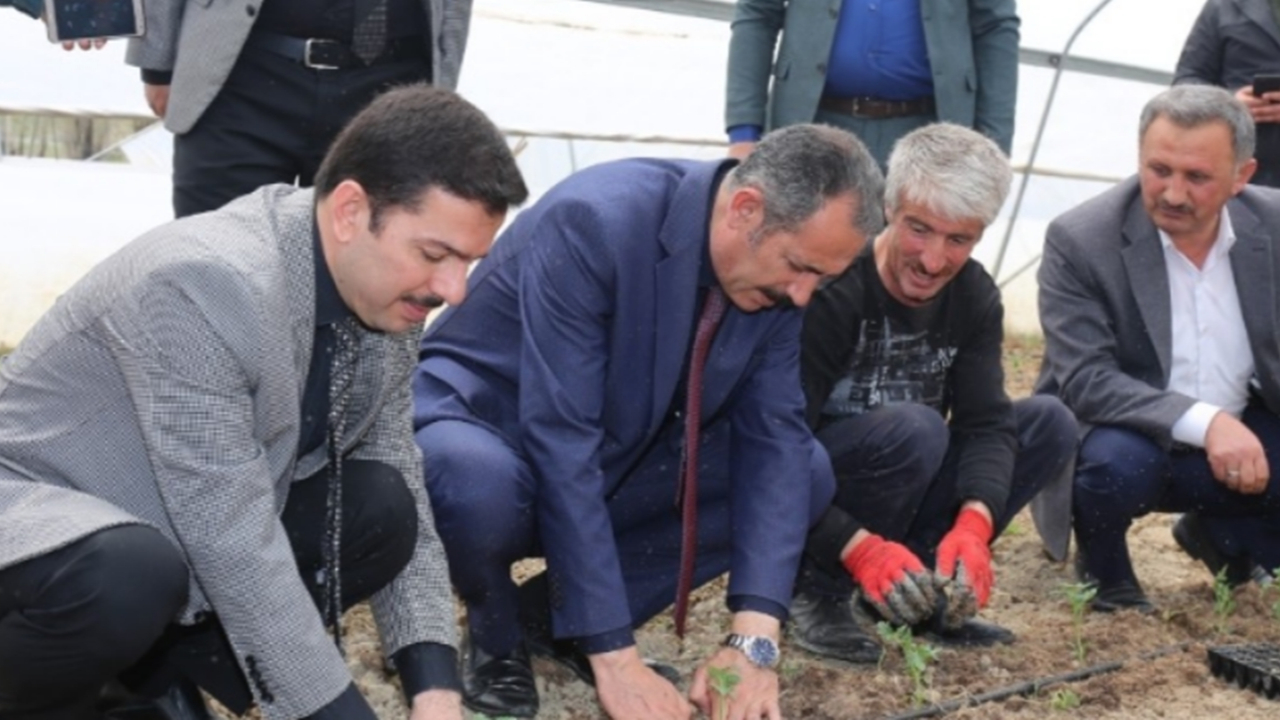 Van'da Başkan Hayrullah Tanış, fideleri toprakla buluşturdu