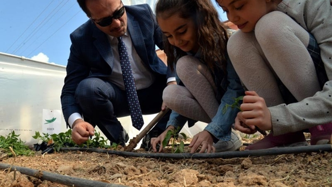 Bilecik'te Vali Bilal Şentürk, öğrencilerle fidan dikti