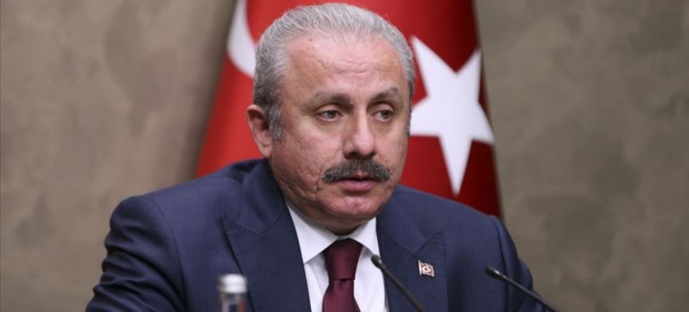 "İnsanlığın zorbalığı yeneceği inancıyla kınıyorum!"