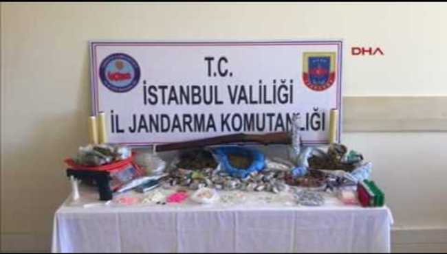 İstanbul'da jandarmadan bonzai operasyonu