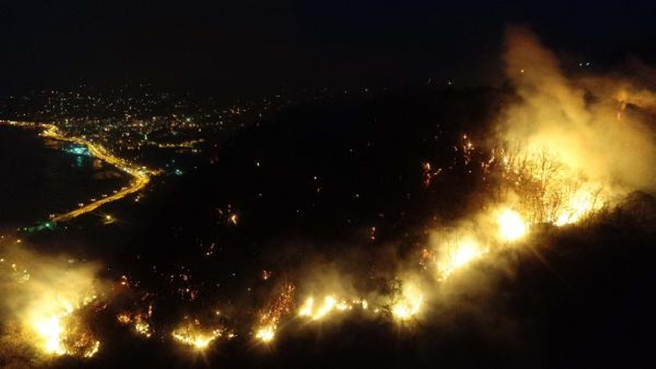 Giresun'daki orman yangını yayılıyor...