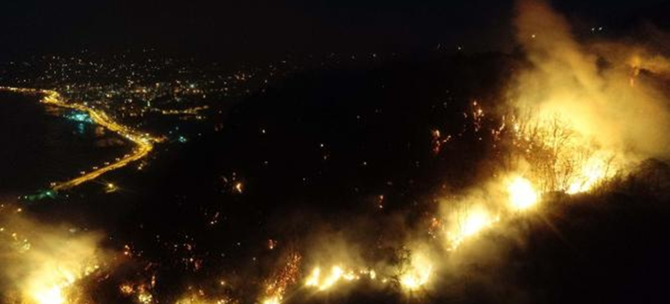 Giresun'daki orman yangını yayılıyor...