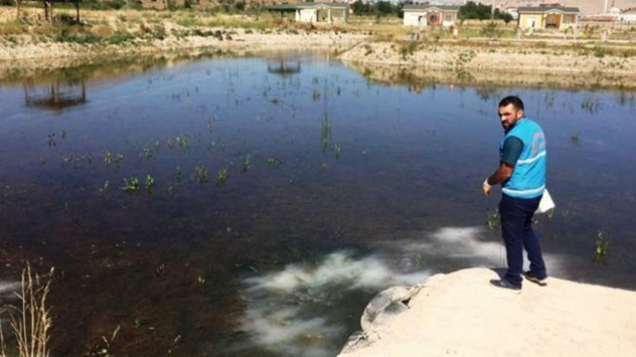 Bayburt’ta larvayla mücadele sürüyor