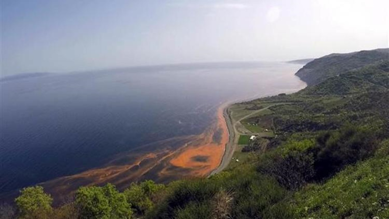 Marmara Denizi'nde şaşırtan görüntü!