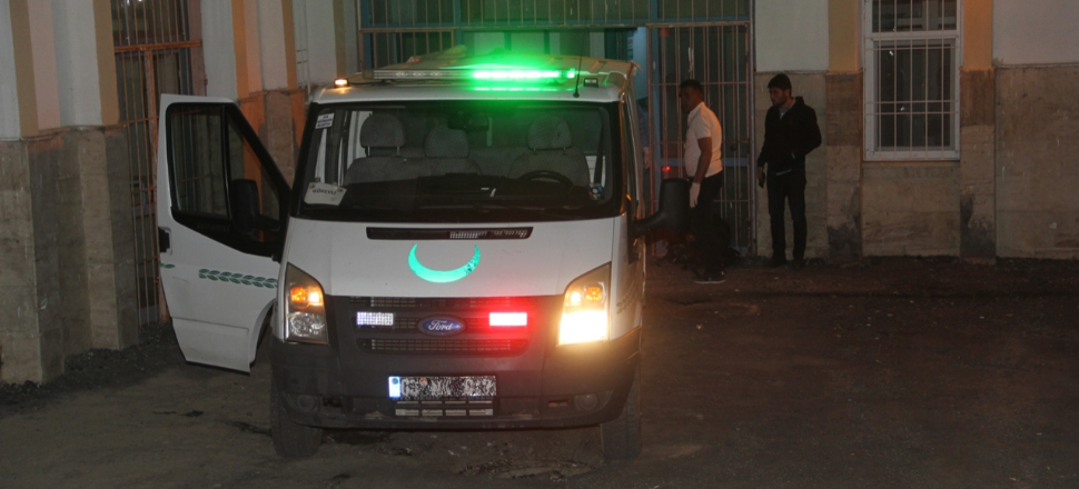 Van-İran sınırında 9 ceset bulundu...