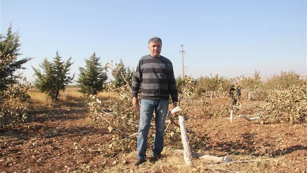 Bahçesine gelince  hayatının şokunu yaşadı
