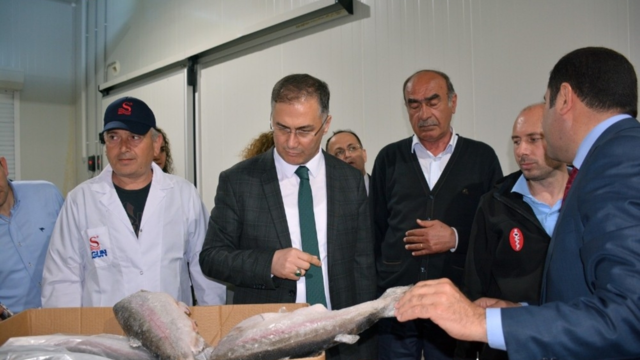 Sinop Valisi Köksal Şakalar su ürünleri fabrikalarını gezdi