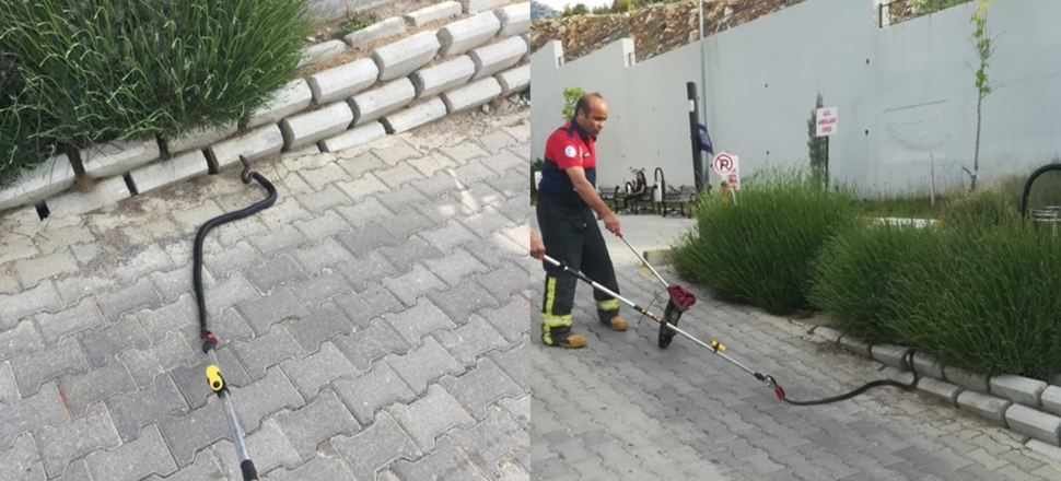 Denizli'de hastanede yılan paniği...