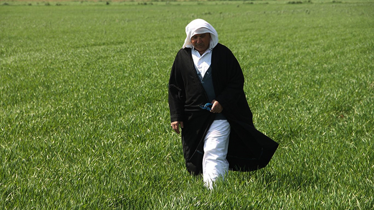 Muş'ta çiftçiler, yağışlar sebebiyle mahsullerini bir ay geç ekti