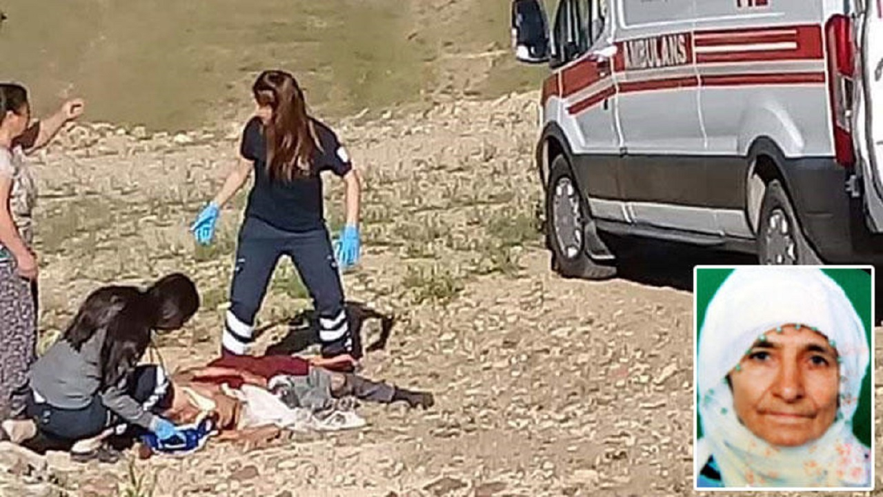 Başıboş köpekler yaşlı kadını öldürdü!