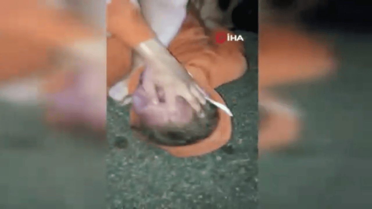 Polis 19 yaşındaki genci öldüresiye dövdü!