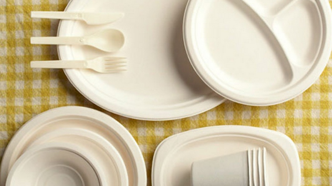 Plastik bardak, tabak ve çatallar 2021'de tarih olacak!