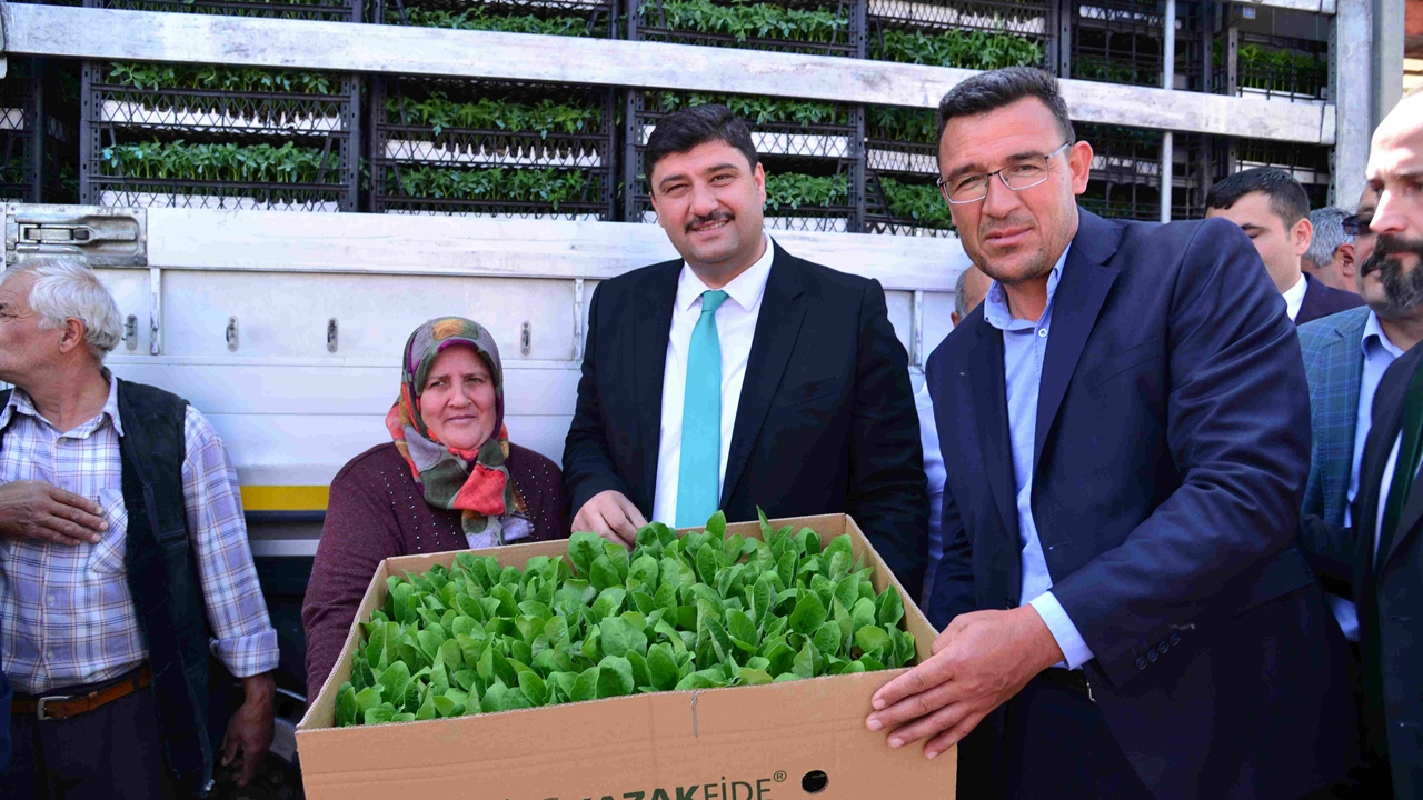 Kahramankazan Belediyesi’nden çiftçilere fide desteği!