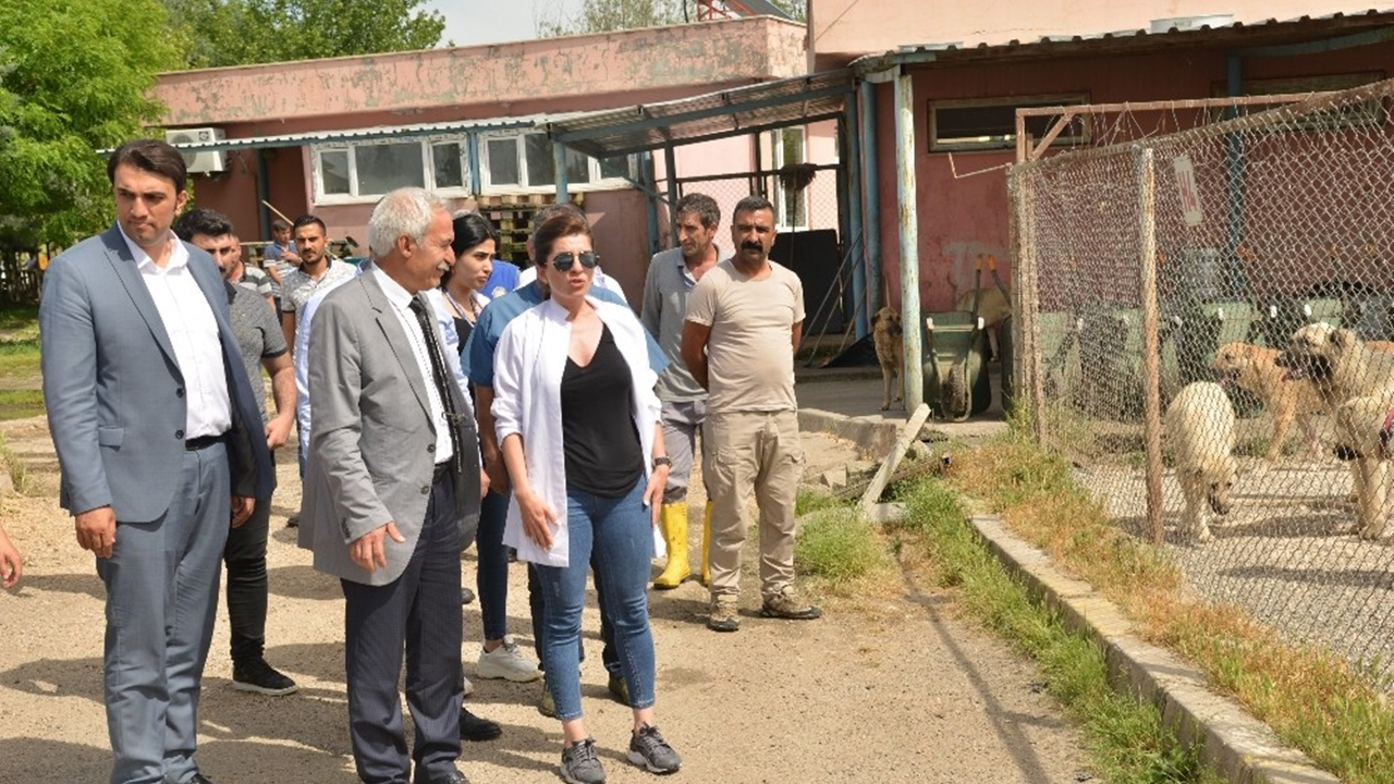 Diyarbakır'da Adnan Selçuk Mızraklı, hayvan bakım merkezini gezdi