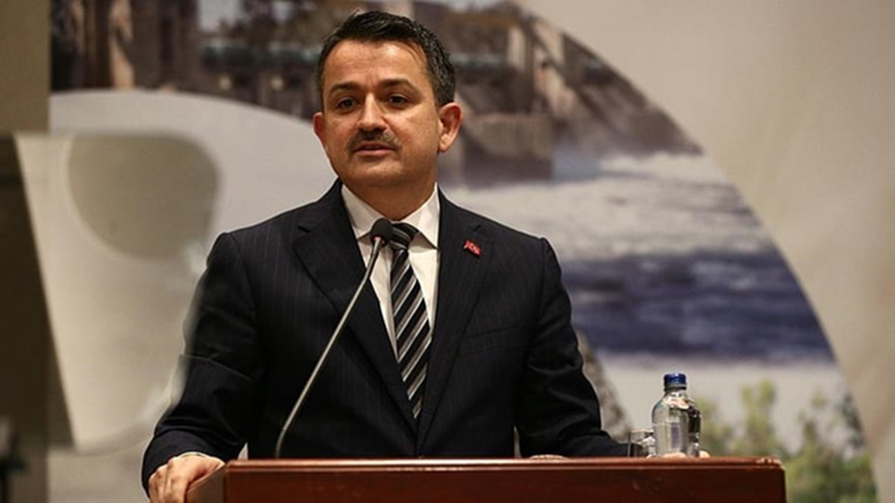 Ankara'da Bakan Bekir Pakdemirli: “Orta vadede hedefimiz 1 milyon ton fındık üretimi”