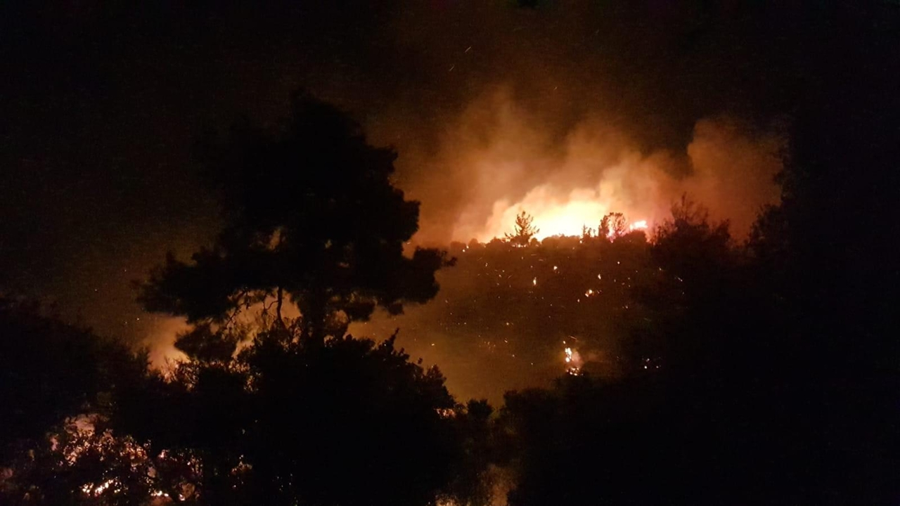 Irak'taki tarla yangınlarında 15 çiftçi öldü...