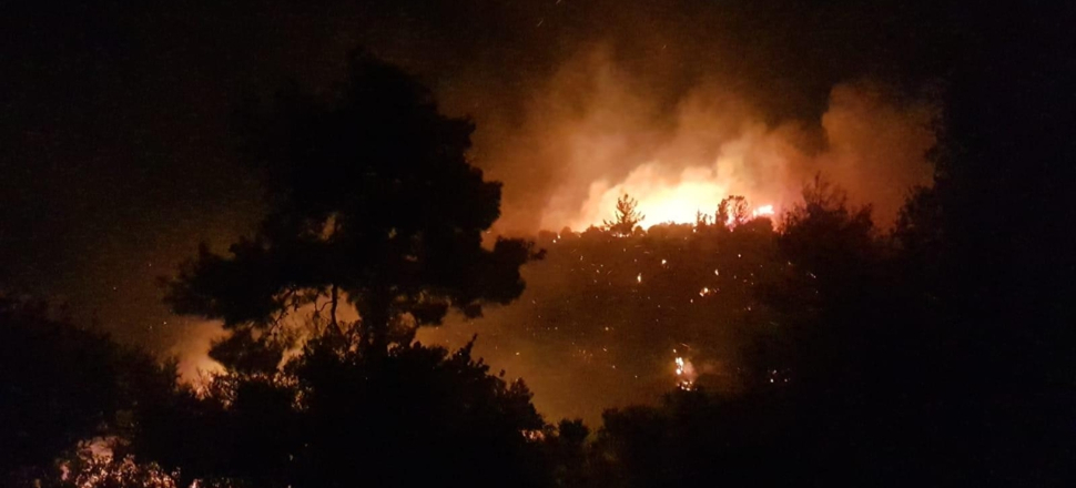 Irak'taki tarla yangınlarında 15 çiftçi öldü...