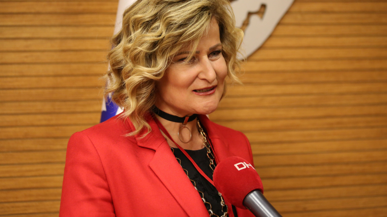 Ankara'da Prof. Dr. Füsun Terzioğlu: Sezaryenle doğum oranımız yüzde 51.7