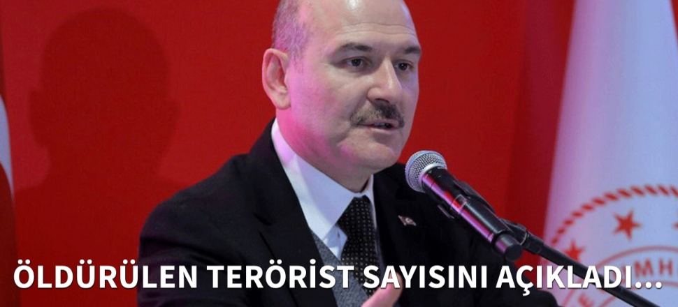 Soylu: Yılbaşından bugüne 433 terörist öldürüldü!