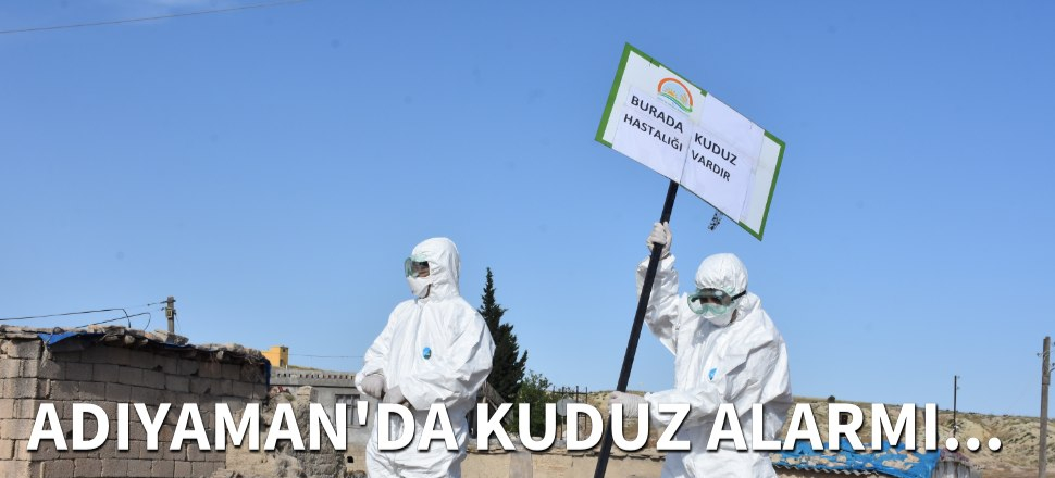 Adıyaman'da kuduz alarmı...