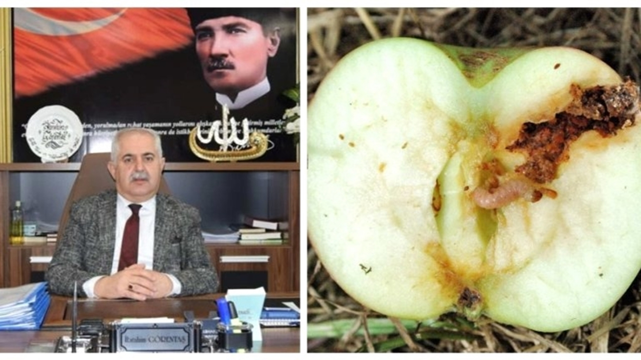 Van'da Müdür İbrahim Görentaş’tan elma üreticisine uyarı