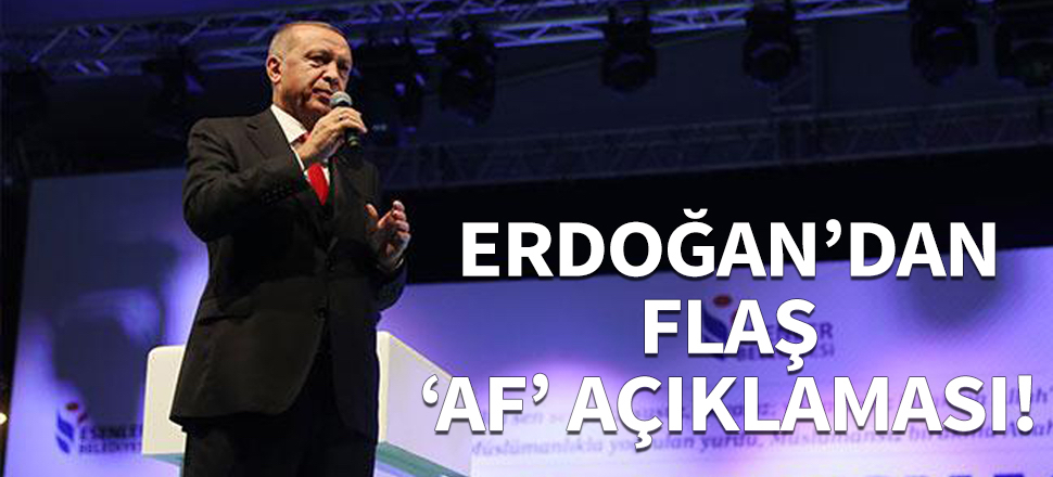 Erdoğan'dan flaş ''af'' açıklaması...