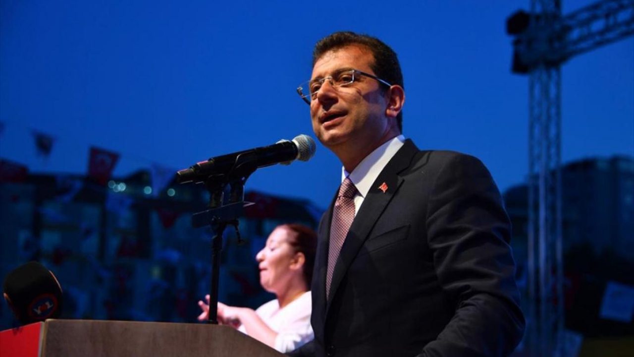 CHP'liler zeytinlikleri talan ediyor!