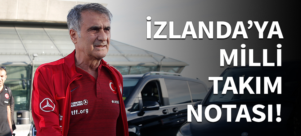 İzlanda'ya Milli Takım notası!