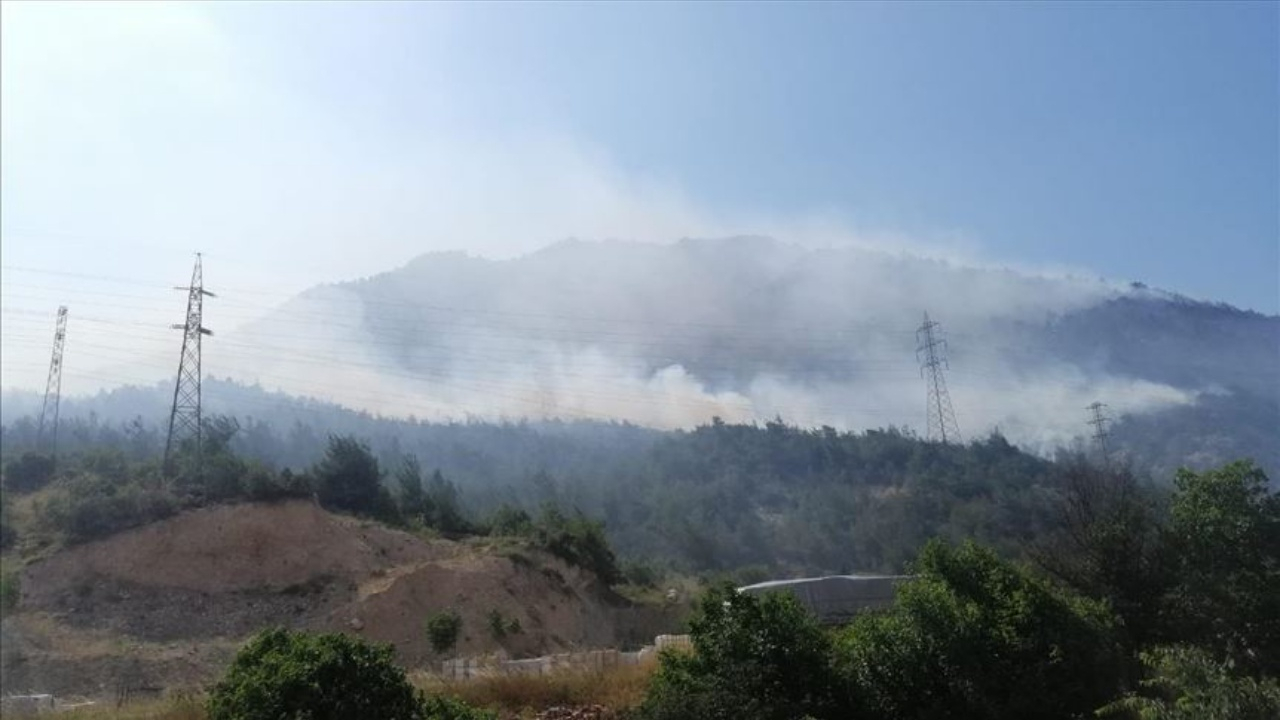 Bilecik'te orman yangını! Müdahale sürüyor...