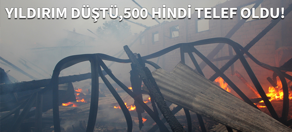 Çıkan yangında 500 hindi telef oldu...
